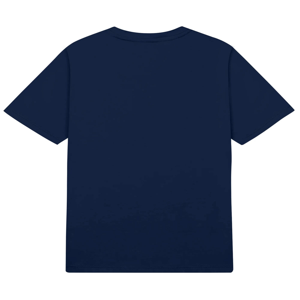 filename-1783244771-13-Y6piiKSxgt